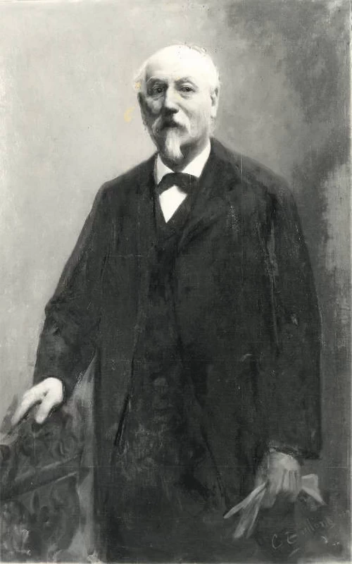 Ritratto di Tullio Brugnatelli - Musei Civici di Pavia